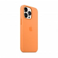 Силиконовый чехол Apple для iPhone 13 Pro Max с MagSafe - весенняя мимоза