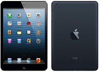 Apple iPad mini 16GB Wi-Fi Demo Black Slate Retail