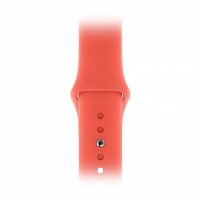Ремешок для Apple Watch Sport Band 40mm  - Спелый нектарин