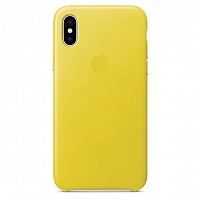 Чехол Apple Leather Case для iPhone X - Жёлтый бутон